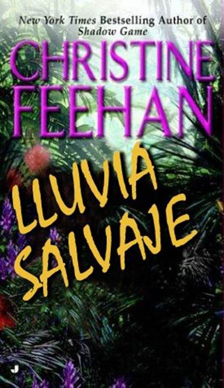 Обложка книги «Lluvia Salvaje»