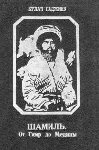 Обложка книги «Шамиль»