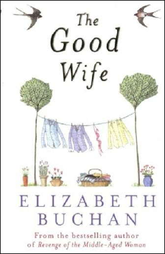 Обложка книги «The Good Wife aka The Good Wife Strikes Back»