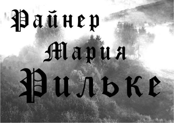 Обложка книги «Стихи»