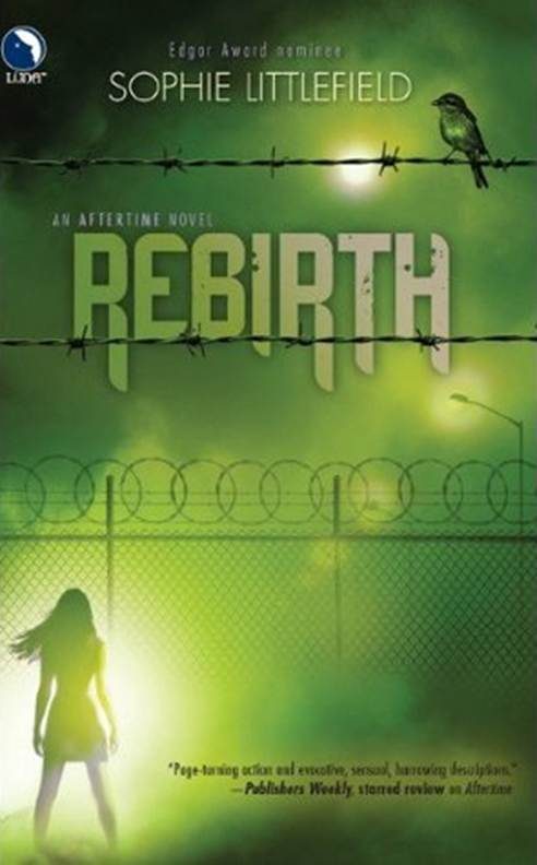 Обложка книги «Rebirth»