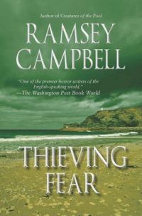 Обложка книги «Thieving Fear»