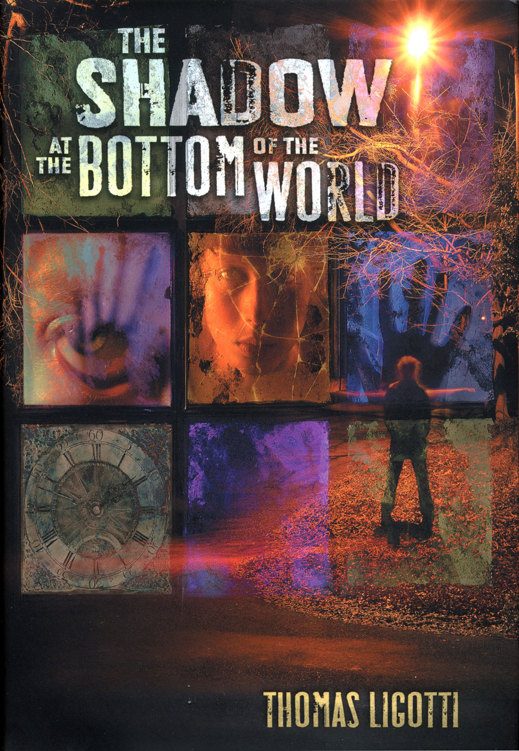 Обложка книги «The Shadow at the Bottom of the World»