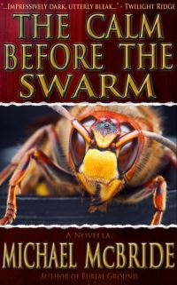 Обложка книги «The Calm Before The Swarm»
