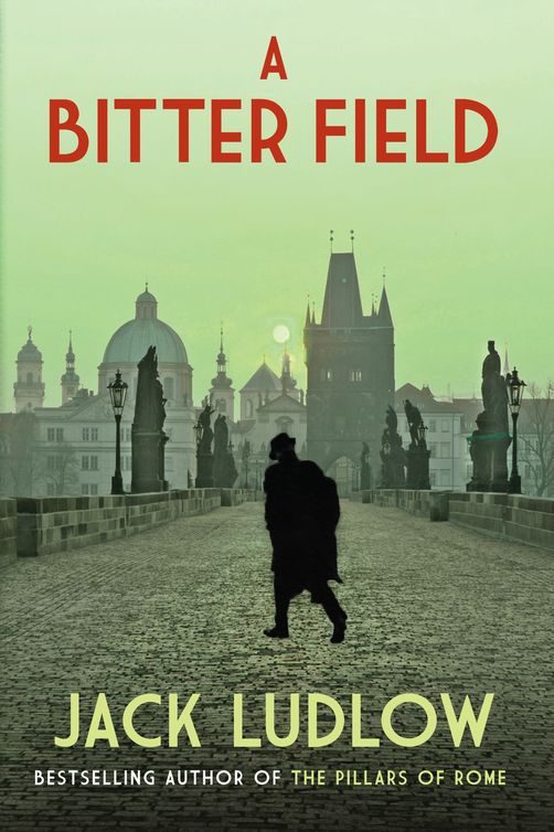 Обложка книги «A Bitter Field»