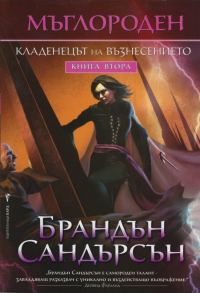 Обложка книги «Кладенецът на възнесението»