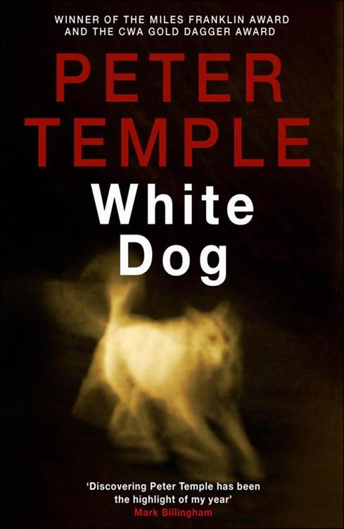 Обложка книги «White Dog»