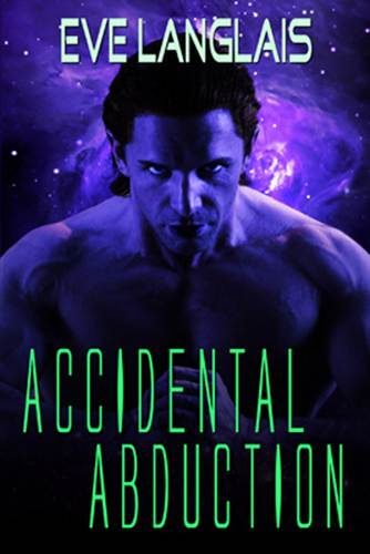 Обложка книги «Accidental Abduction»
