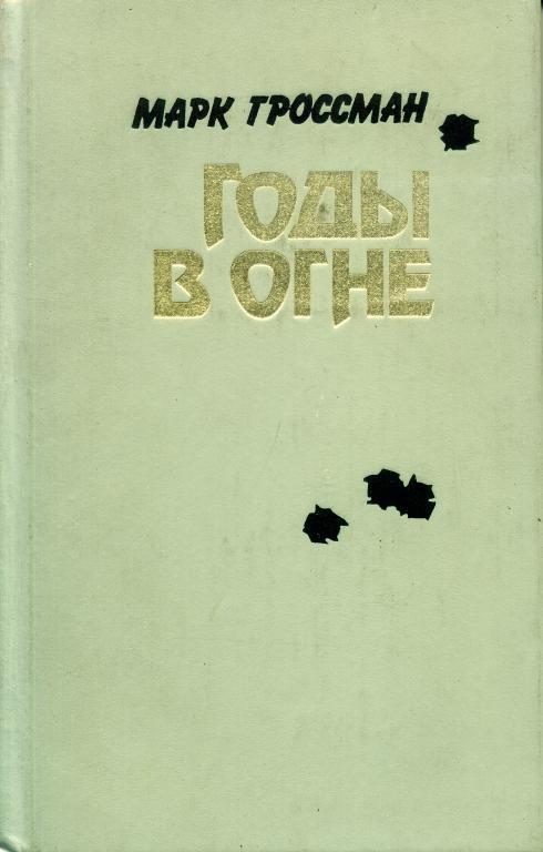 Обложка книги «Годы в огне»