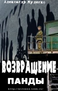 Обложка книги «Возвращение Панды»