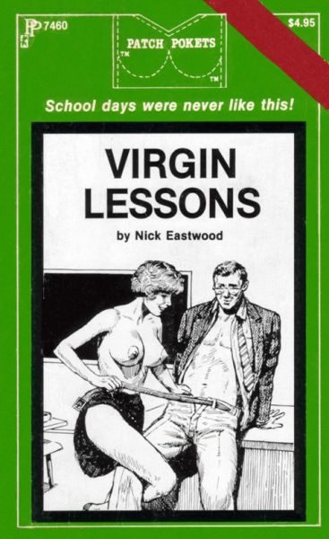 Обложка книги «Virgin lessons»