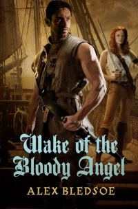Обложка книги «Wake of the Bloody Angel»