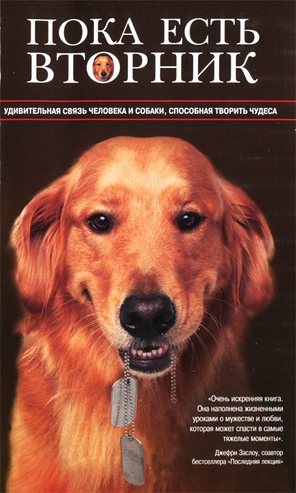 Обложка книги «Пока есть Вторник. Удивительная связь человека и собаки, способная творить чудеса»