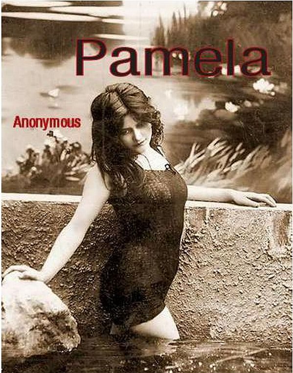 Обложка книги «Pamela»