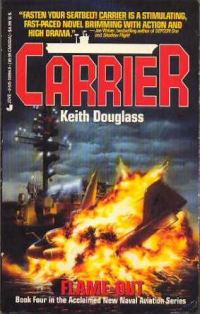 Обложка книги «Flame Out»