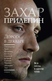 Обложка книги «Дорога в декабре»