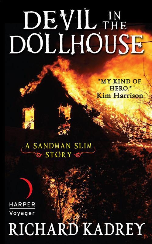 Обложка книги «Devil in the Dollhouse»