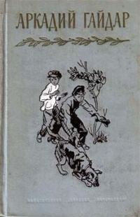 Обложка книги «Фельетоны и очерки»