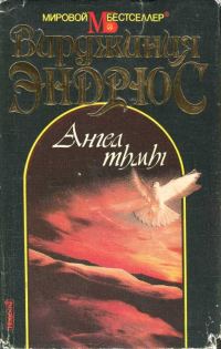 Обложка книги «Ангел тьмы»