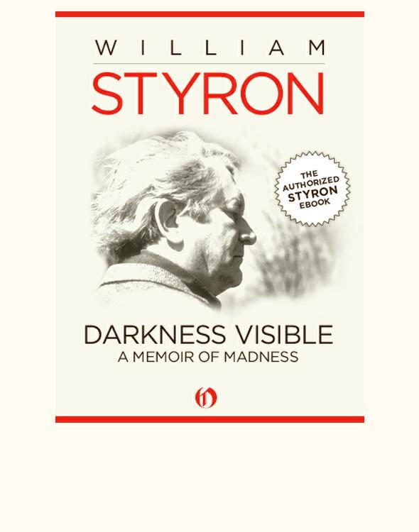 Обложка книги «Darkness Visible»