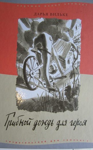 Обложка книги «Грибной дождь для героя»