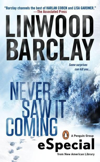 Обложка книги «Never Saw It Coming»