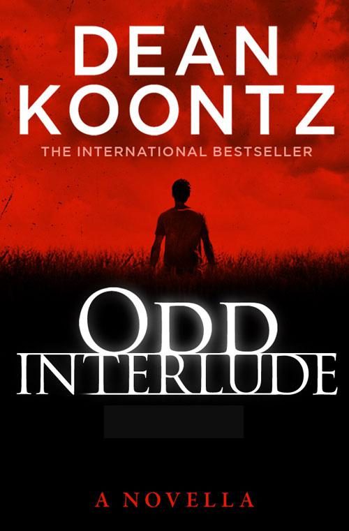Обложка книги «Odd Interlude»