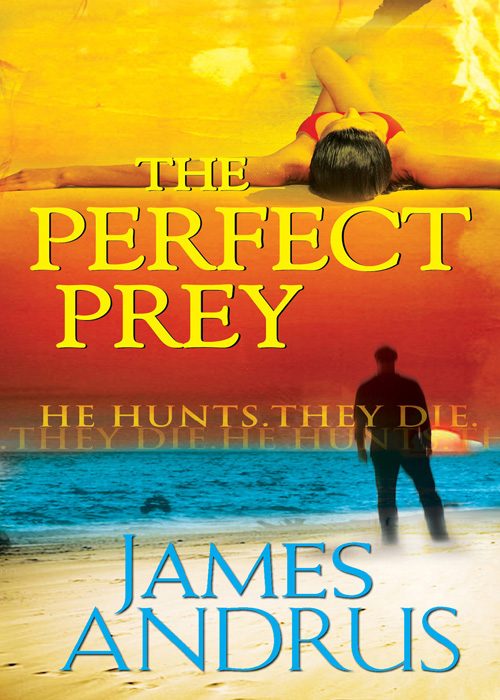 Обложка книги «The Perfect Prey»