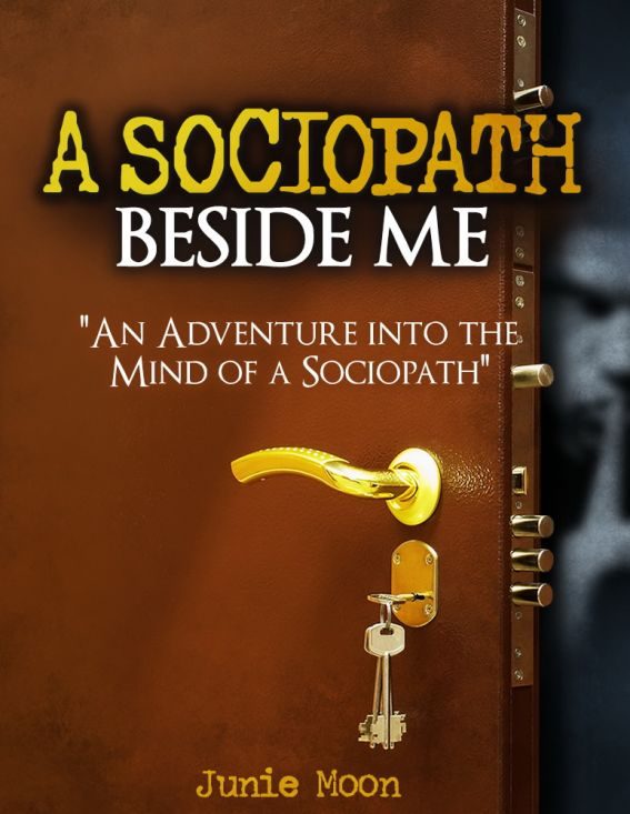 Обложка книги «A Sociopath Beside Me»