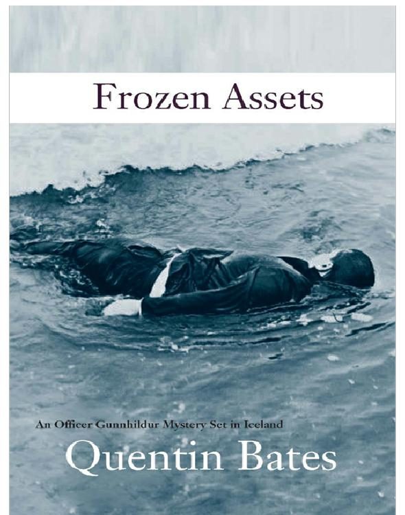 Обложка книги «Frozen Assets»