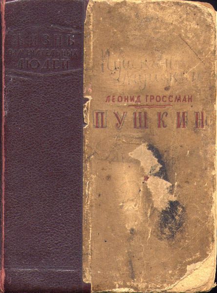 Обложка книги «Пушкин»