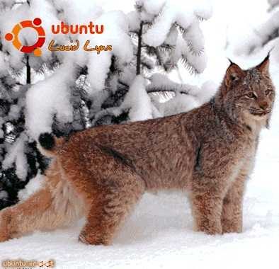 Обложка книги «Руководство по переходу на Ubuntu 10.04 LTS «Lucid Lynx»»