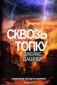 Обложка книги «Сквозь Топку»