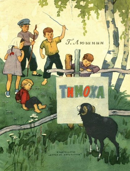 Обложка книги «Тимоха»