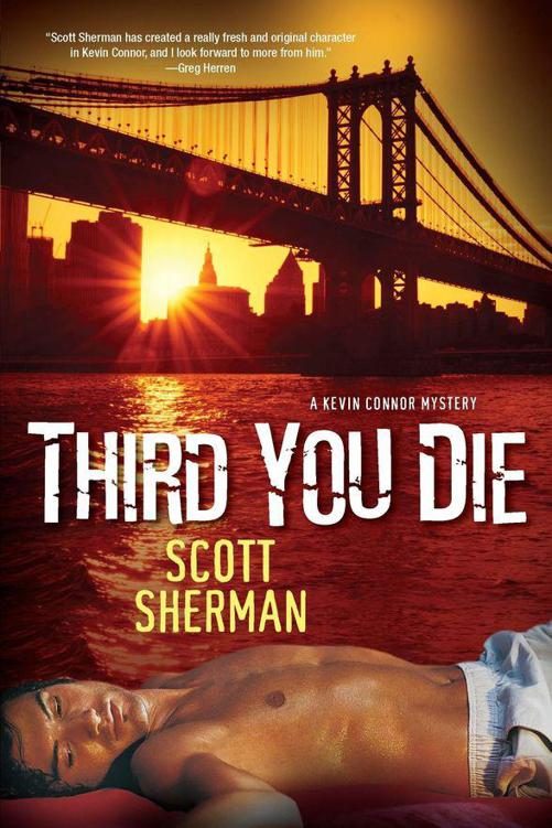 Обложка книги «Third You Die»