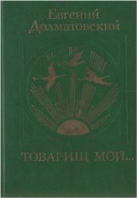 Обложка книги «Товарищ мой»