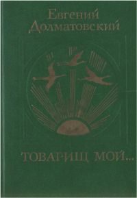 Обложка книги «Товарищ мой»