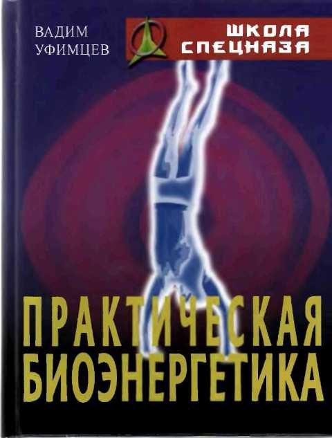 Обложка книги «Практическая биоэнергетика»