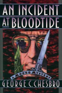 Обложка книги «An Incident At Bloodtide»
