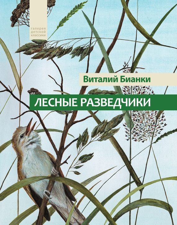Обложка книги «Лесные разведчики»