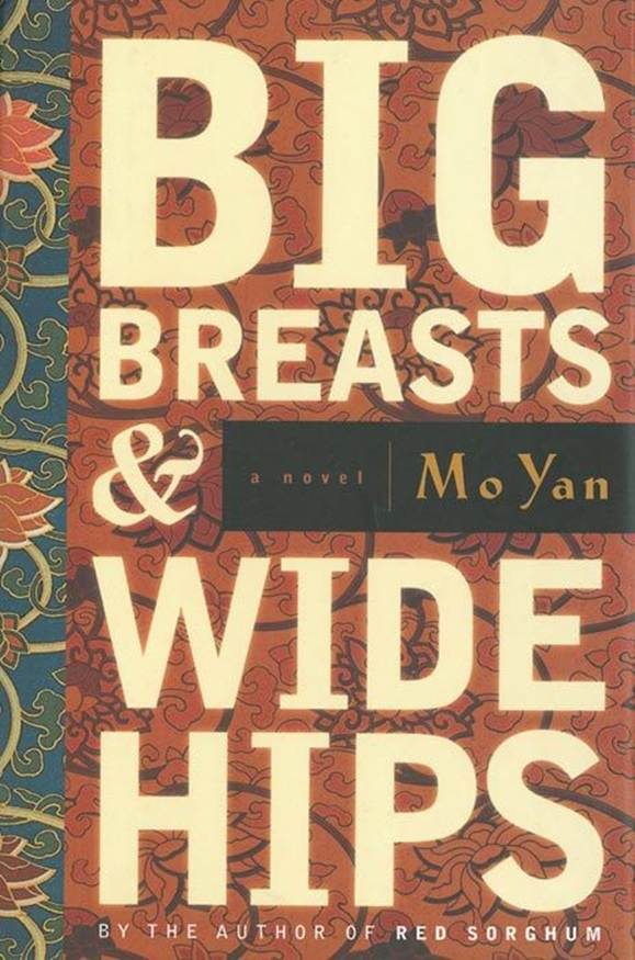 Обложка книги «Big Breasts & Wide Hips»
