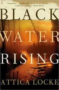 Обложка книги «Black Water Rising»
