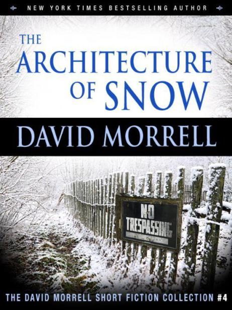 Обложка книги «The Architecture of Snow»