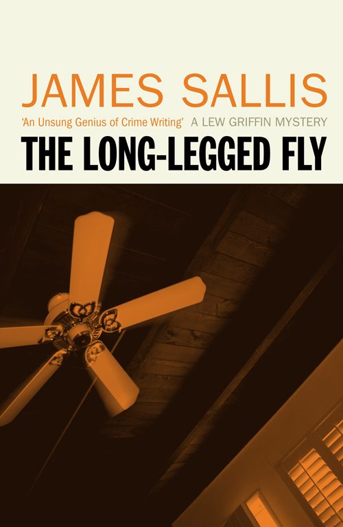 Обложка книги «The Long-Legged Fly»