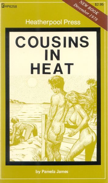 Обложка книги «Cousins in heat»