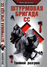Обложка книги «Штурмовая бригада СС. Тройной разгром»