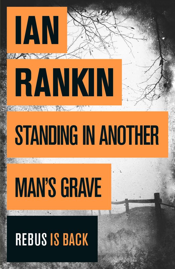 Обложка книги «Standing in another's man grave»