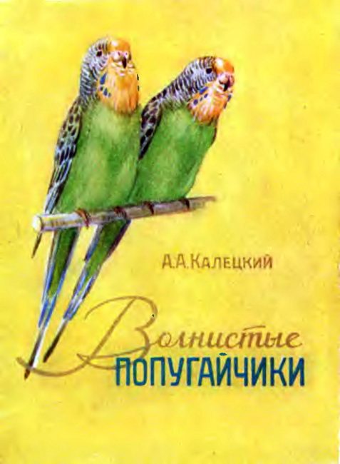 Обложка книги «Волнистые попугайчики»