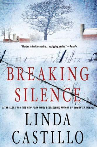 Обложка книги «Breaking Silence»