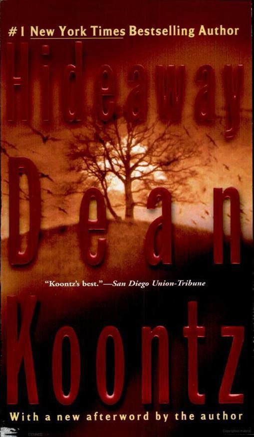 Обложка книги «Hideaway»